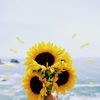marlesrose_7